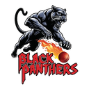 BLACK PANTHERS logo